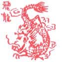 飞龙,龙 dragon