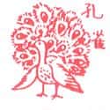 孔雀 peacock