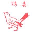 喜鹊 pica pica