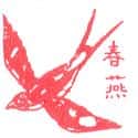 春燕 swallow