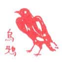 乌鸦 crow