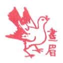 画眉鸟 thrush