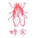 蝉 cicada
