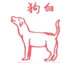 狗,白狗 dog