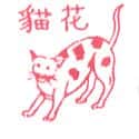 猫 cat