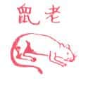 老鼠 rat