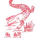 鳄鱼 crocodile