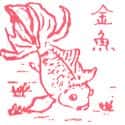 金鱼 金鱼 goldfish
