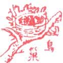 鸟巢 nest