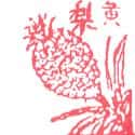 黄梨 pineapple
