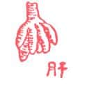 肝 liver