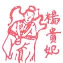 杨贵妃 