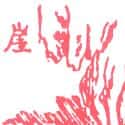 悬崖 ridge