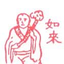 如来 如来
