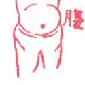 腹部 abdomen