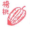 杨桃  starfruit