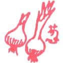 葱 scallion