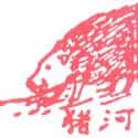 河猪 hedgehog
