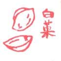 白果 ginkgo