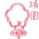 项链 necklace