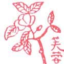 芙蓉花 hibiscus