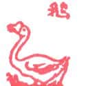 鹅 鹅 goose