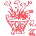 花盆 flowerpot