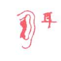 耳朵 耳朵 ear