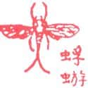 蜉蝣 mayfly