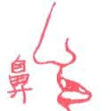 鼻子 鼻子 nose