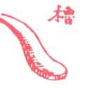 橹 paddle