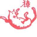 獐 roe deer