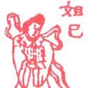 妲己 