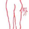 臀部 butt