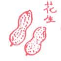 花生 花生 peanut