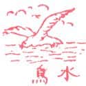 水鸟 seabird