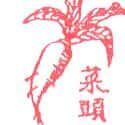 萝卜 萝卜 carrot