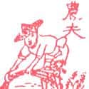农夫 farmer