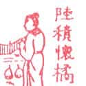 陆积怀橘 