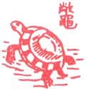 鳖 turtle