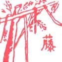 藤 cane