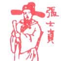 张士祯 