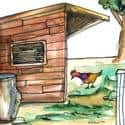 鸡寮 shed