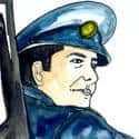 交通警察 traffic police