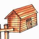 木板店 wood shop