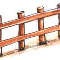 插奎郎 belat