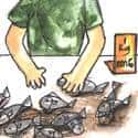 卖鱼 selling fish