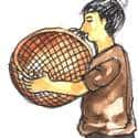 琉琅妇 female of tin filter