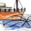 电船捕鱼 fishing by boat