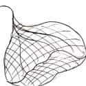 鱼网 fishing net